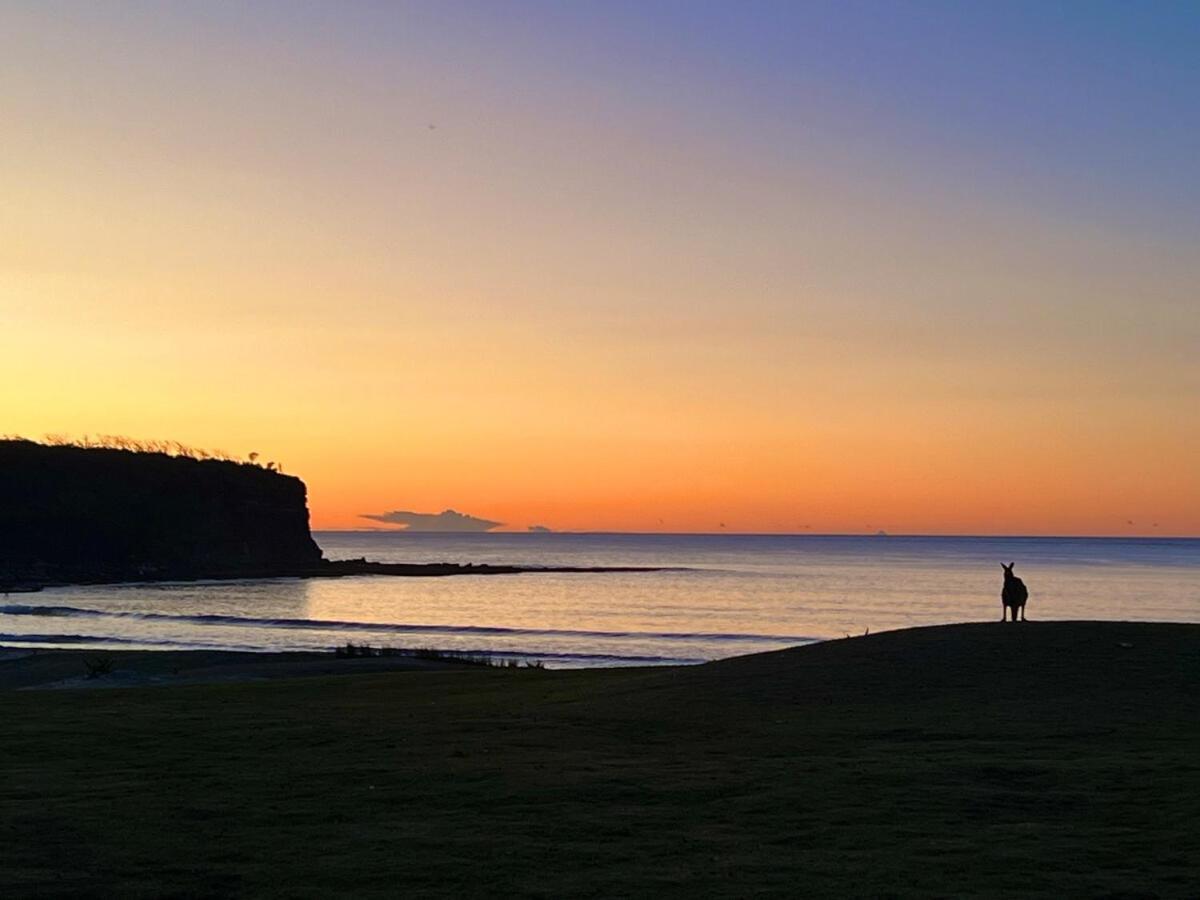 Alexander'S Cottage, Pebbly Beach East Lynne Екстер'єр фото